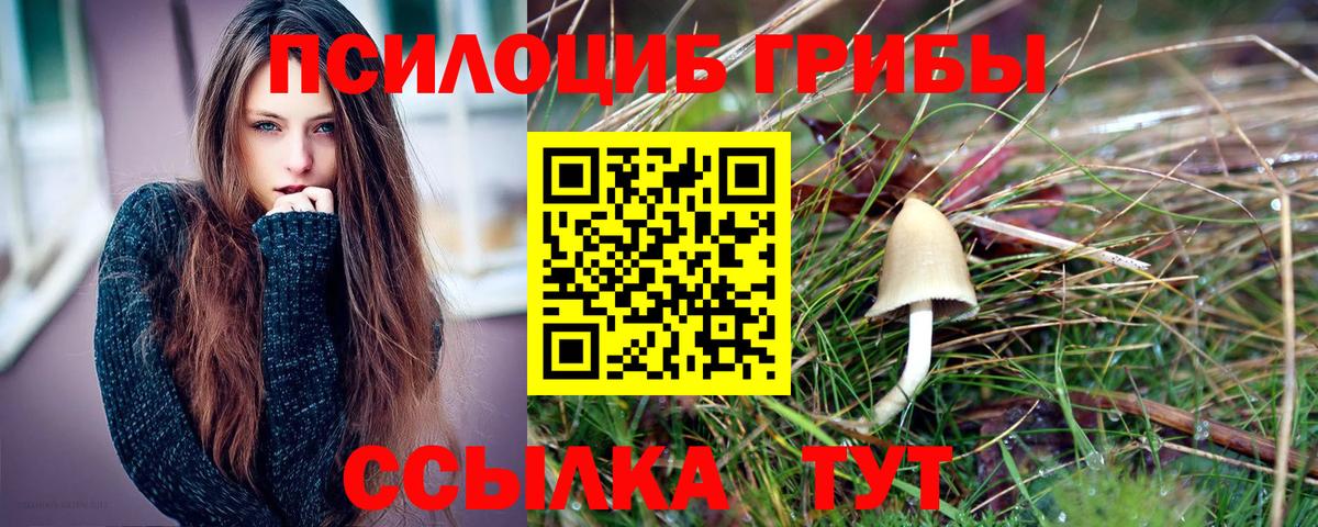 Галлюциногенные грибы мухоморы Вольск